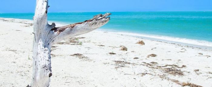 Cayo Costa State Park