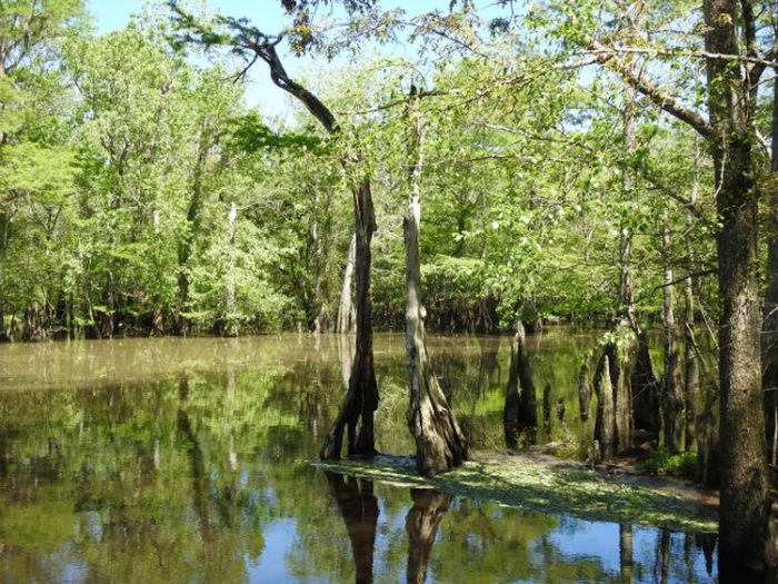 Dead River Landing Recreation Area