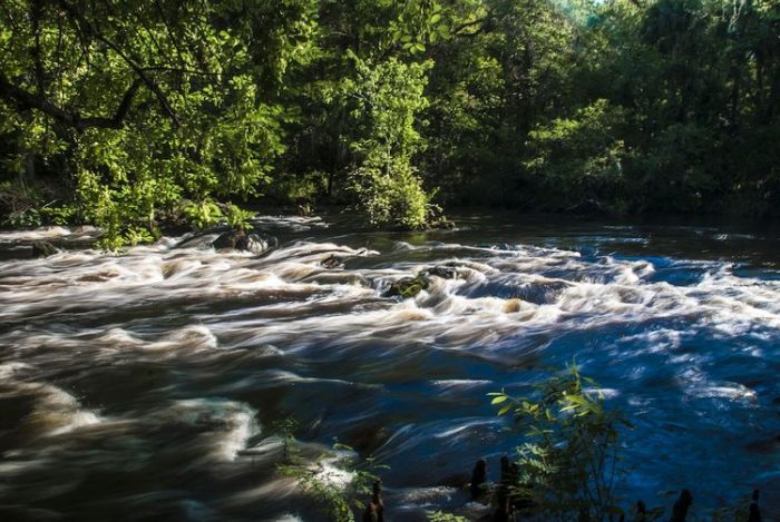 Hillsborough River State Park