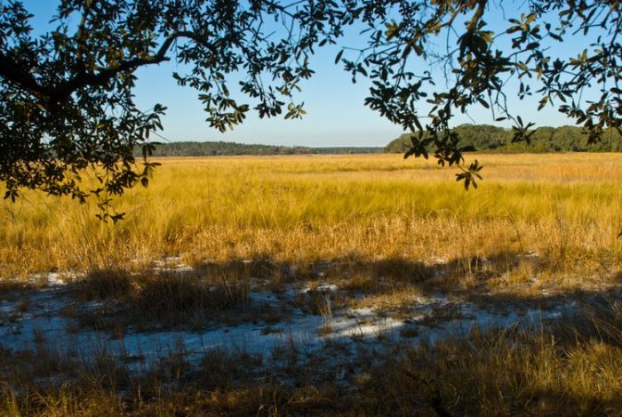 Hopkins Prairie Campground