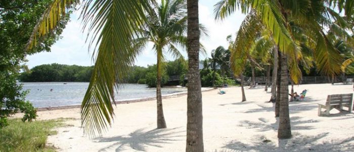 John Pennekamp Coral Reef State Park