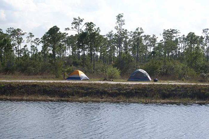 Jones Hungryland Wildlife Management Area