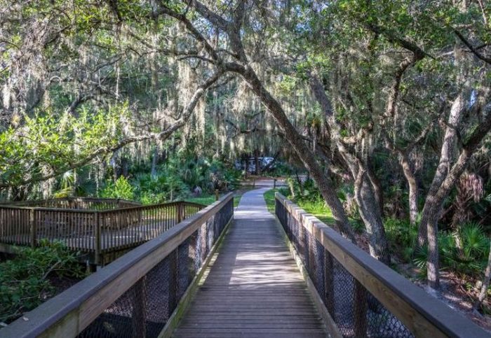 Oscar Scherer State Park