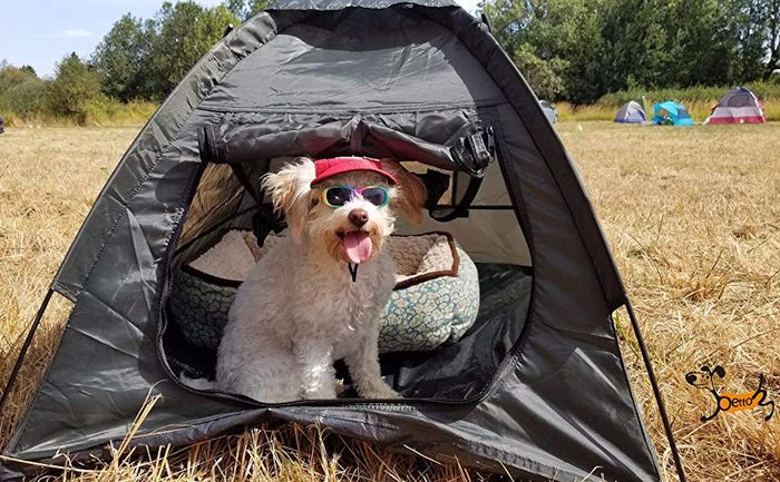 Pettom Dog Cat Camping Tents