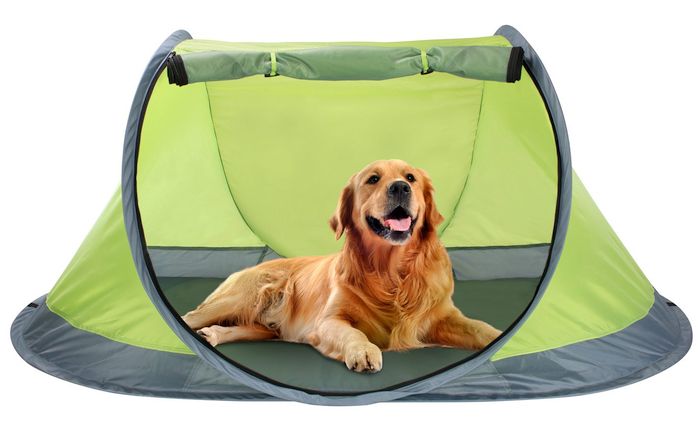 Winterial Outdoor Pop-Up Pet Tent