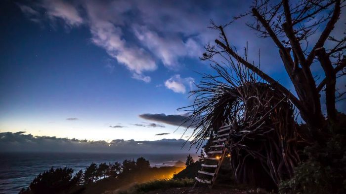 Human Nest At Treebones Resort