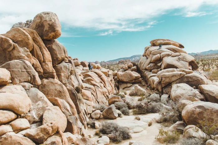 Joshua Tree National Park