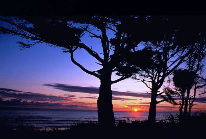 Kalaloch View