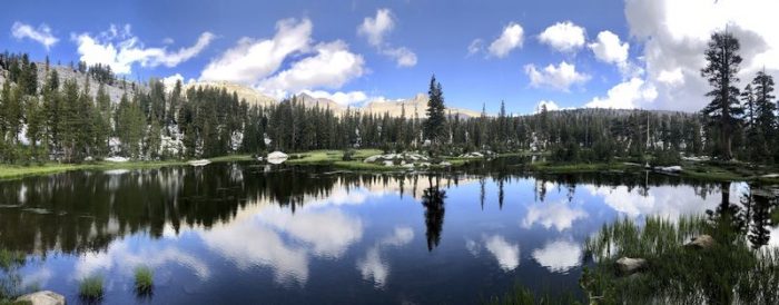 Sierra National Forest