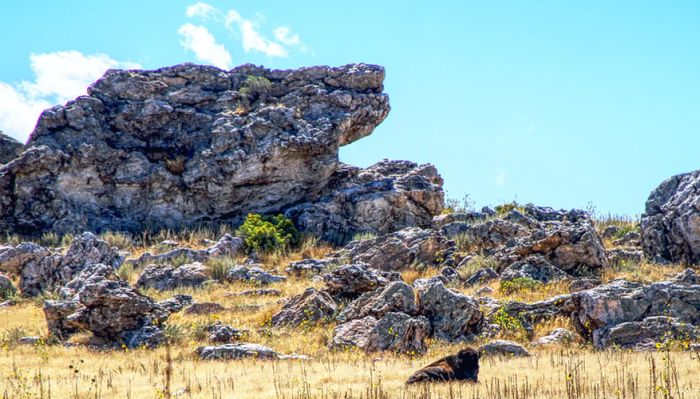 Antelope Island State Park