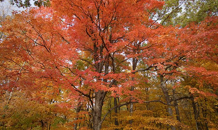 Argyle Lake State Park