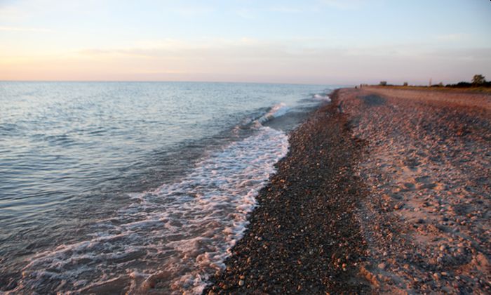 Illinois Beach State Park