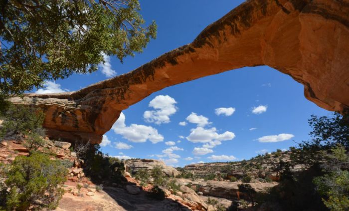 Natural Bridges National Monument