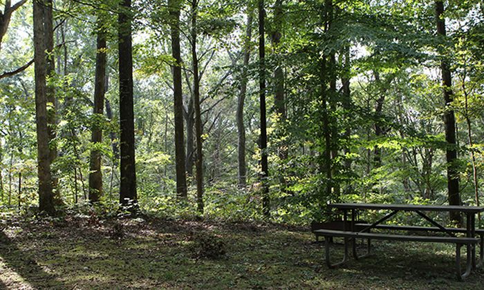 Trail of Tears State Forest