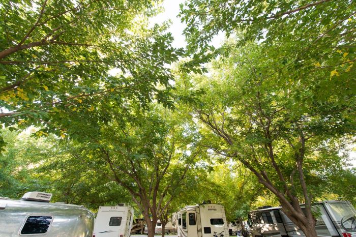 Willowind RV Park